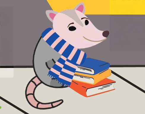 possum Paige the Possum